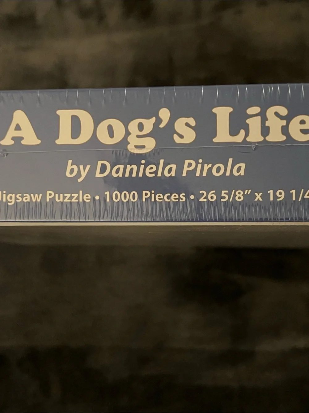 Source Unknown dog life